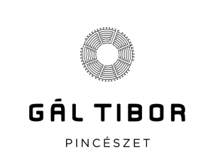 logo-gal-tibor-pinceszet-820x1224-fent-1